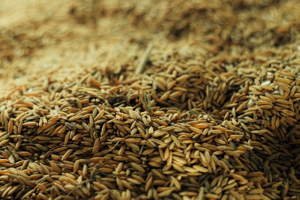 A detailed view of wheat grains in a pile, ready for processing.