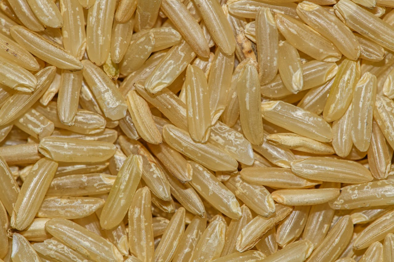 Detailed macro shot of uncooked brown rice grains, showcasing texture and natural color.